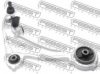 FEBEST 0224-J32RH Track Control Arm